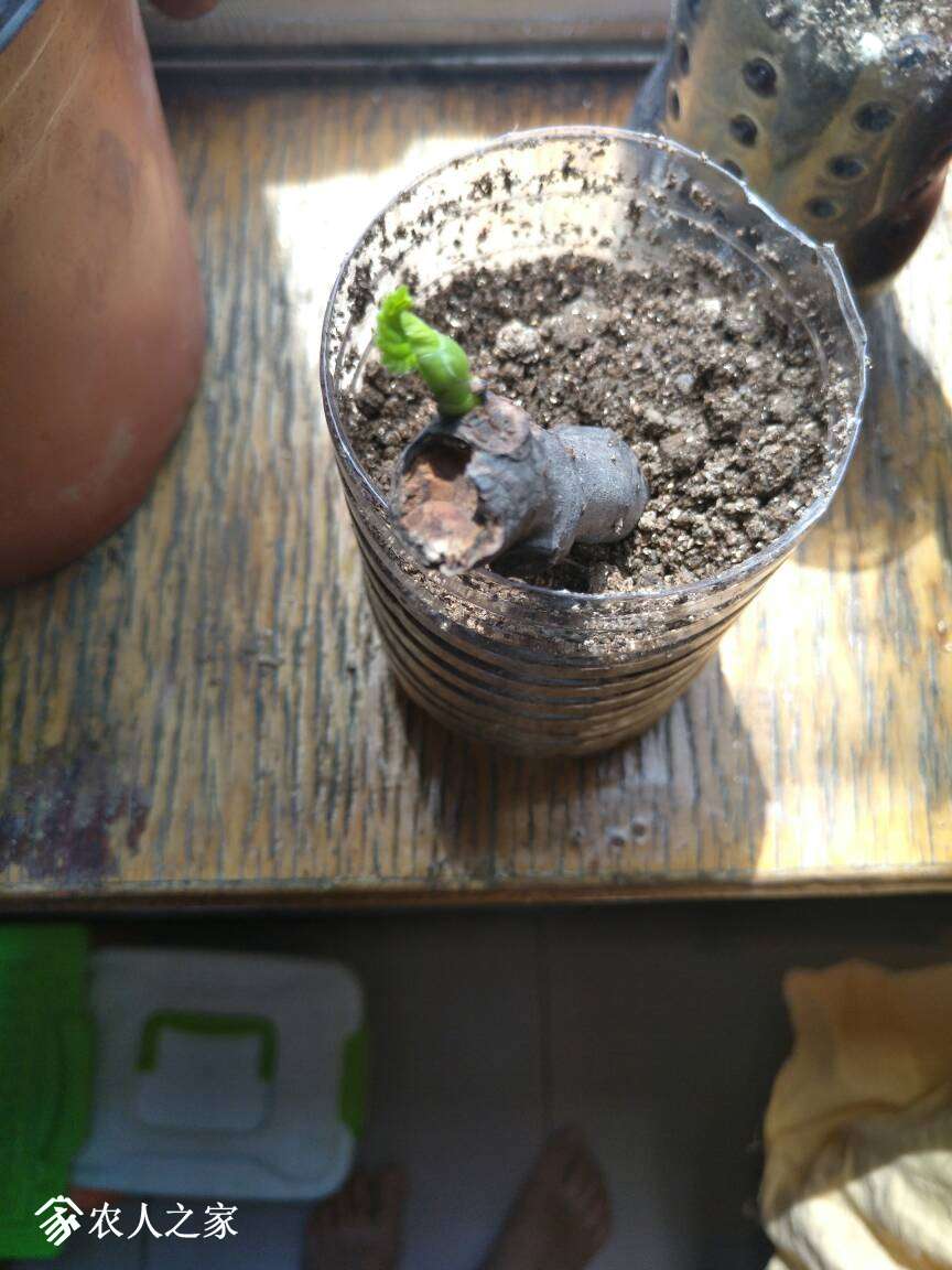 113659gnreehx55u57xswj.jpg