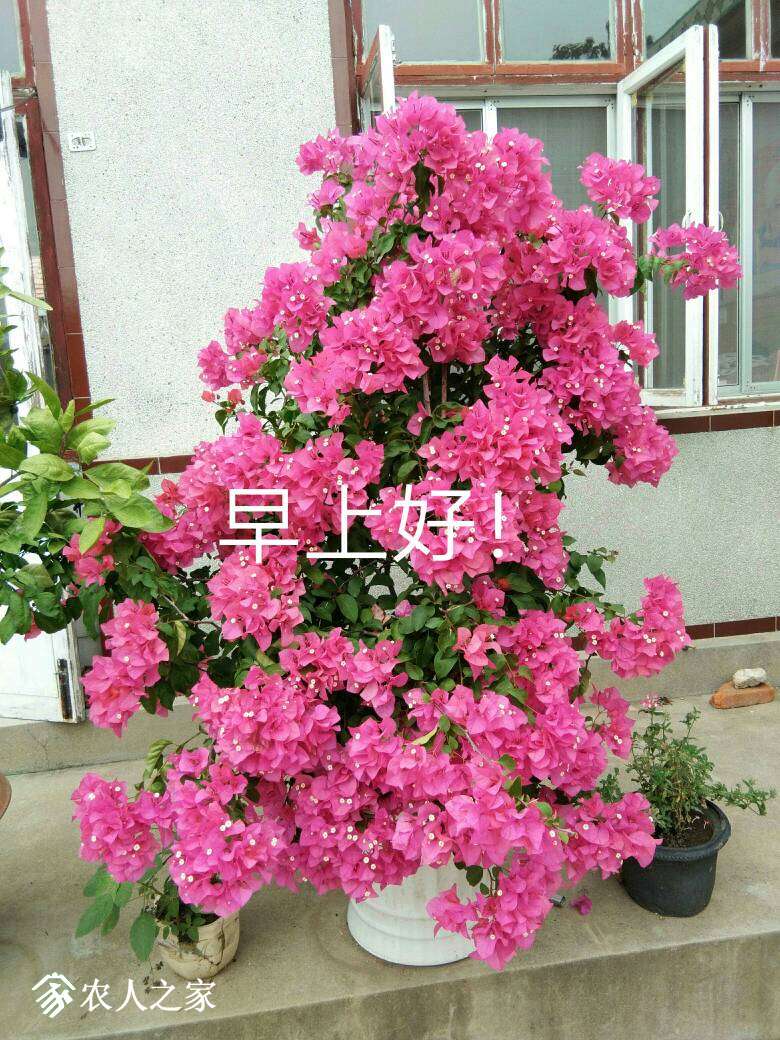213422nar6u7v9967hjhzv.JPG