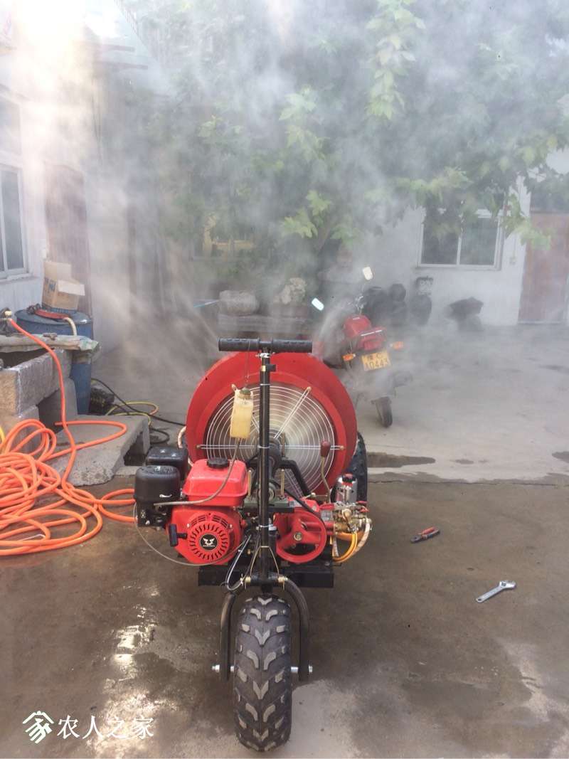 221043p7mi8gpqgm3xugun.jpg