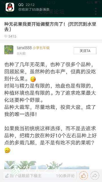 221728d907pq7ufwfp7t9f.png