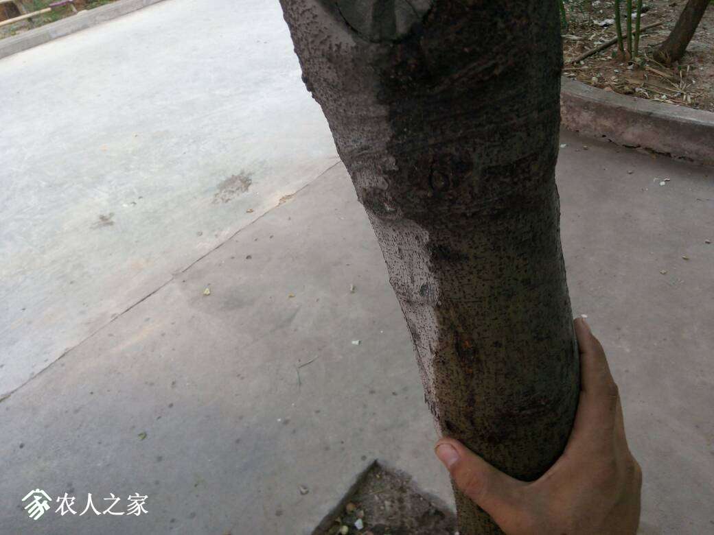 082225r0cc4xe808uhd6fx.jpg