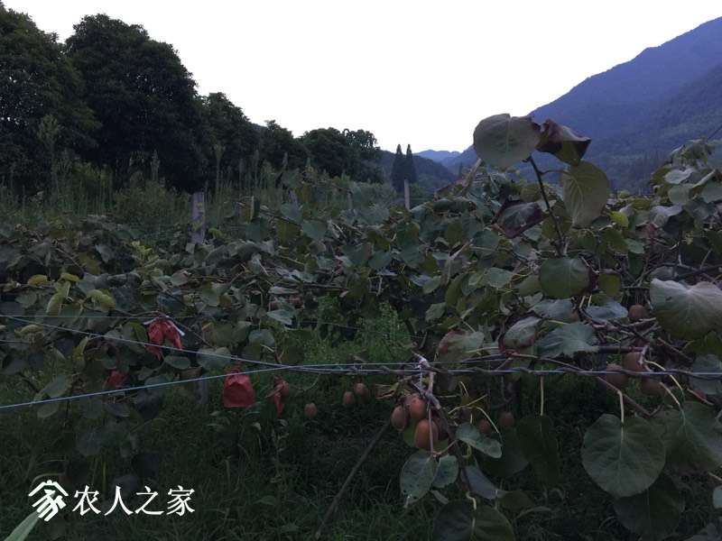 194103reont9kmttv3m93x.jpg