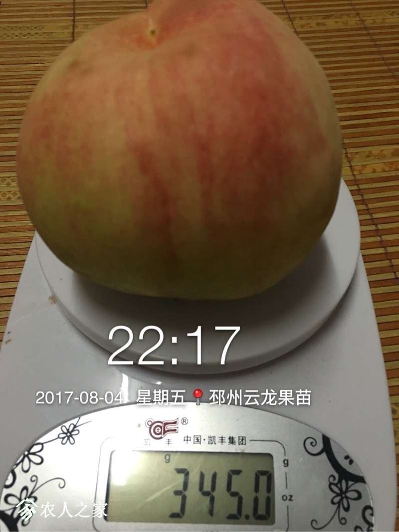 231436r00330qtqp0z7at6.jpg