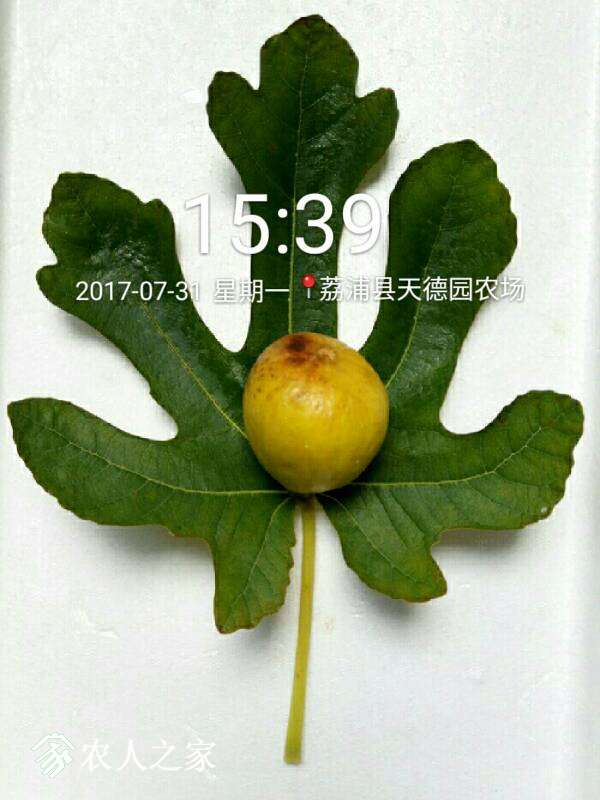 072508ngdad8gopdo9y87z.jpg