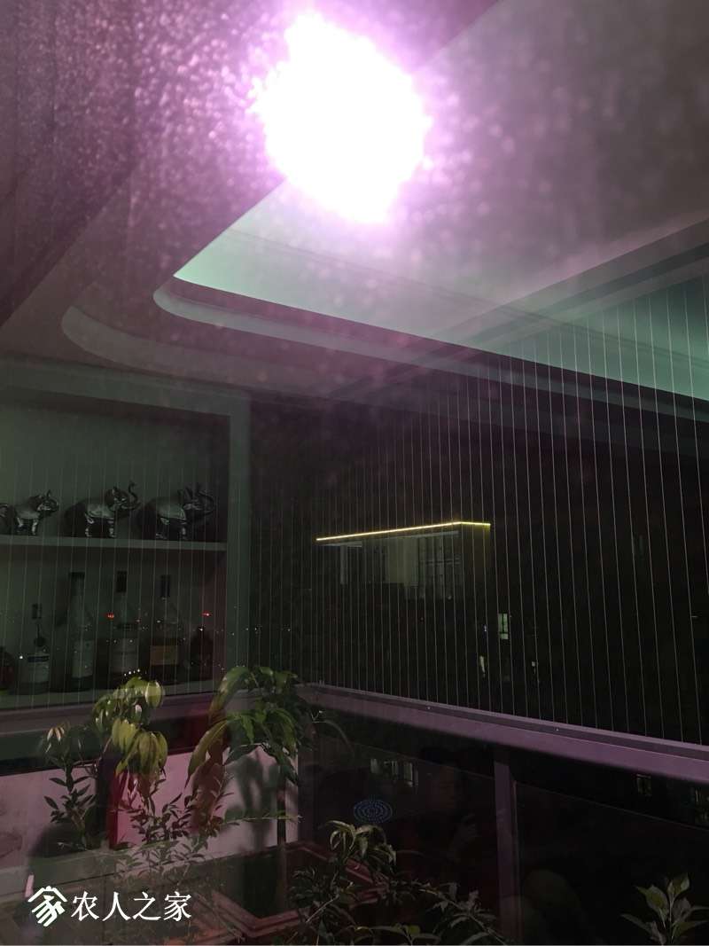 220538t6vv6fvod9vh63w6.jpg
