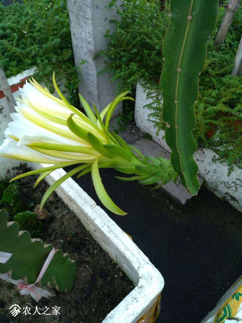 062553q23373h2ctc3gcee.jpg