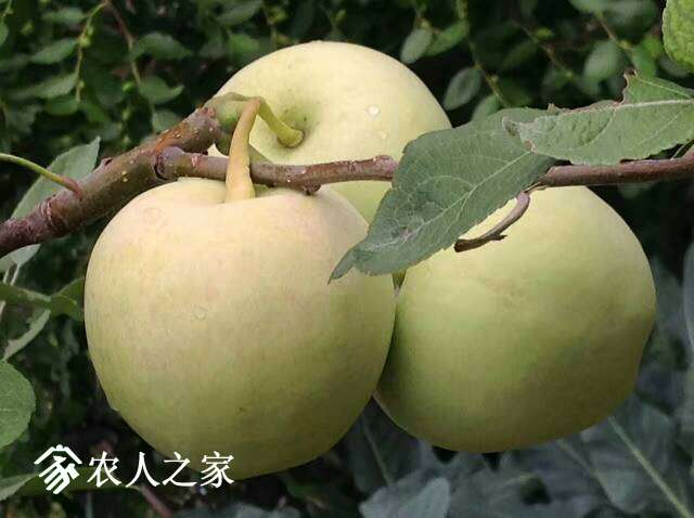 203710sjwxccc7x77f7jp0.jpg