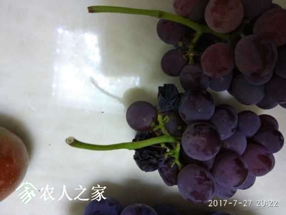 IMG_20170727_202205.jpg