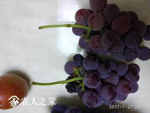 IMG_20170727_202159.jpg