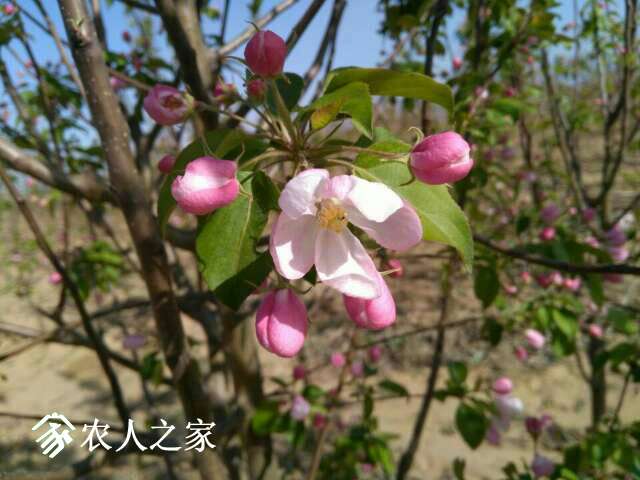 093443b2w9t63akcdat9oj.jpg