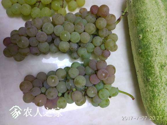 122336ufkfiyddimqriori.jpg