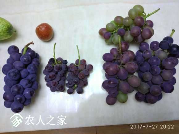 IMG_20170727_202218.jpg