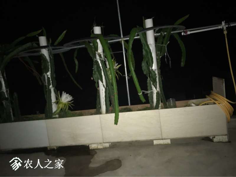 125830iqhhcg0n53xienfx.jpg