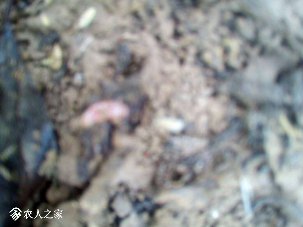 151534pj7hf05jvkggzh7r.jpg