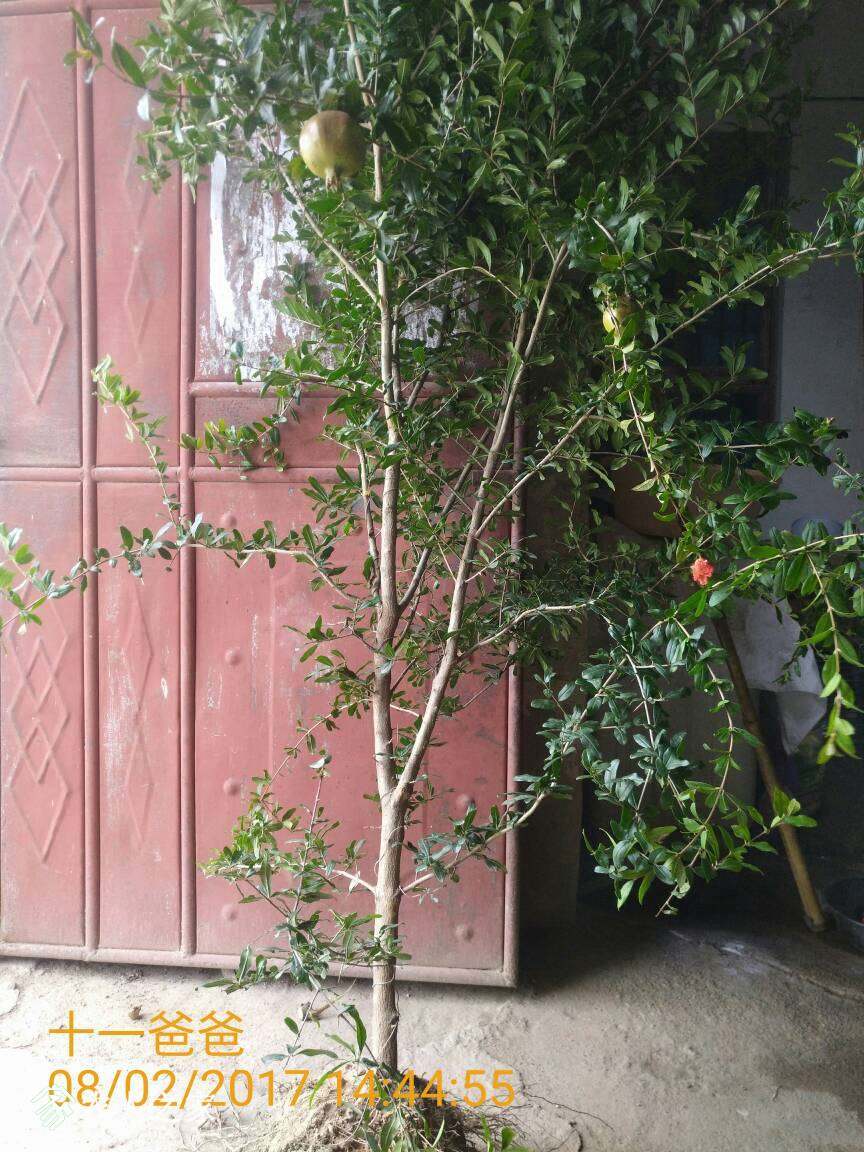 180518kegpqzhugngfcpcf.jpg