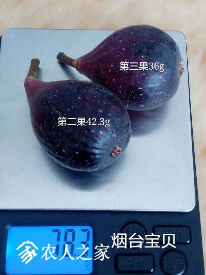213506uoyayjjfy2oodyfo.jpg