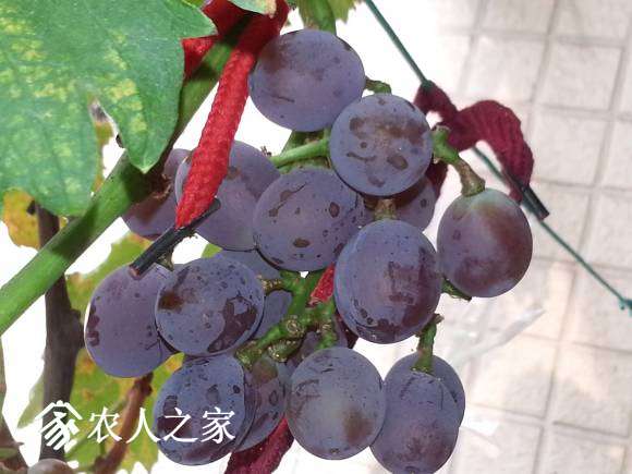 20170730_084647.jpg