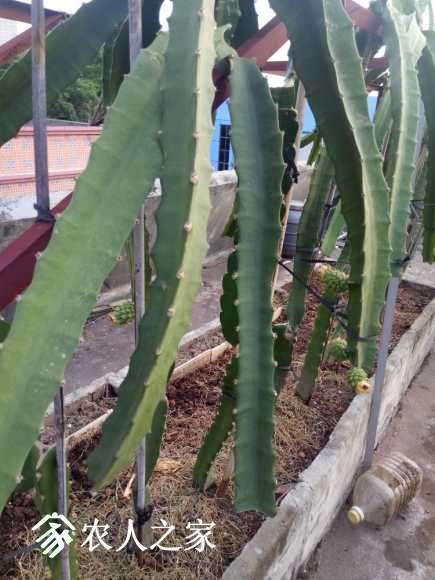 IMG20170808184251.jpg