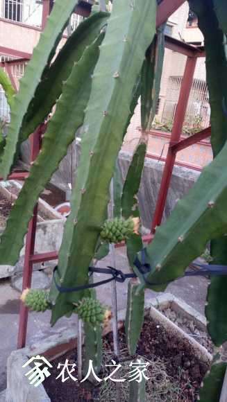 IMG20170808184431.jpg
