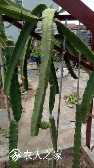 IMG20170808131658.jpg