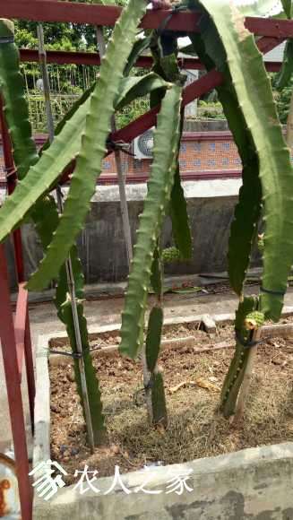 IMG20170808131644.jpg