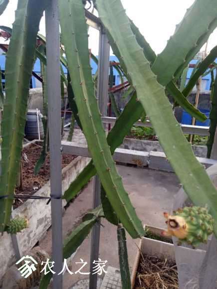 IMG20170808184317.jpg