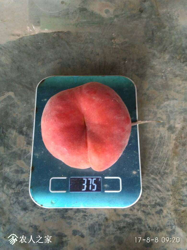 061449g7o67d1ssfzopdii.jpg