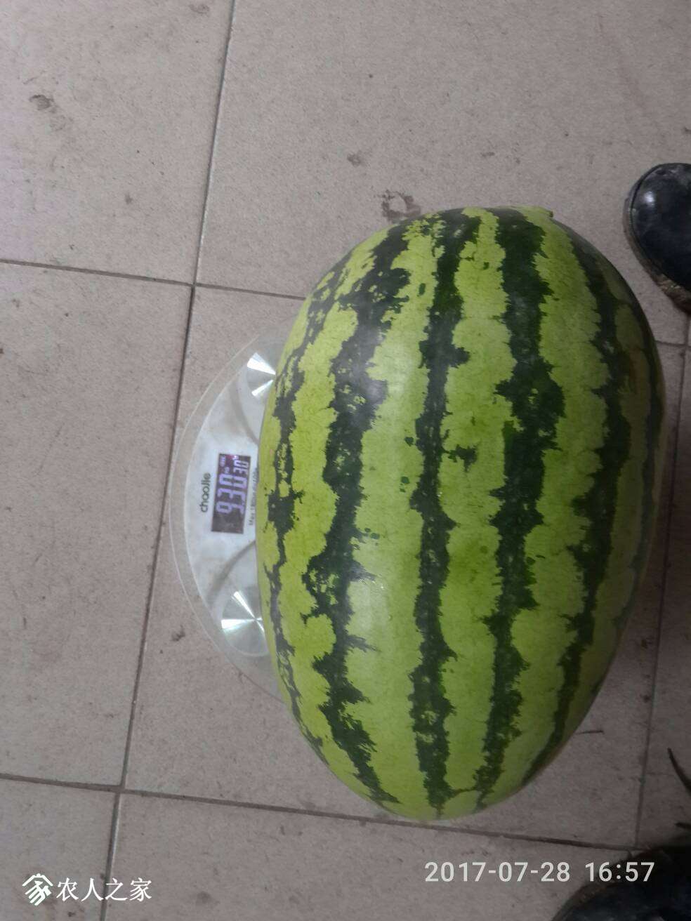 072710rmnxsjkgxubno7bb.jpg