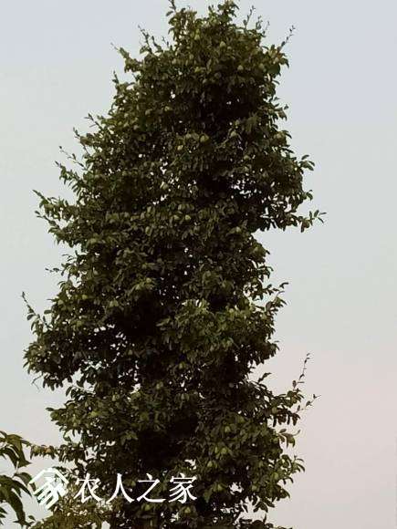 ΢��ͼƬ_20170809102026.jpg