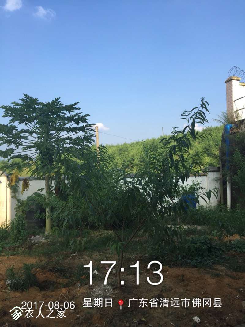 204758gv6ewn0vdt0eiji3.jpg