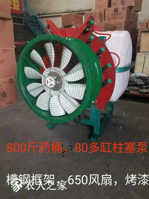 231846wncg6eoogk8fnq7v.jpg