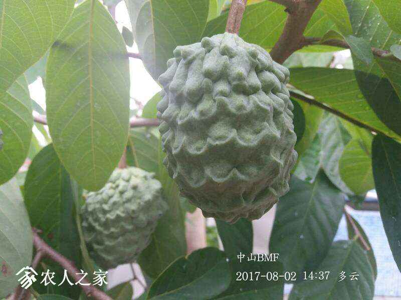 073707yrxvrnrssj0sz0ai.jpg