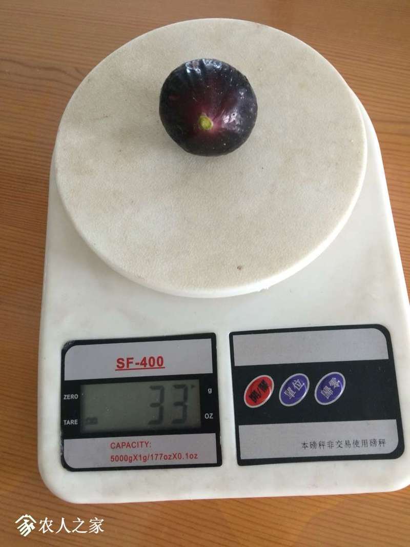 085134onttj3ysxzbs1fsn.jpg