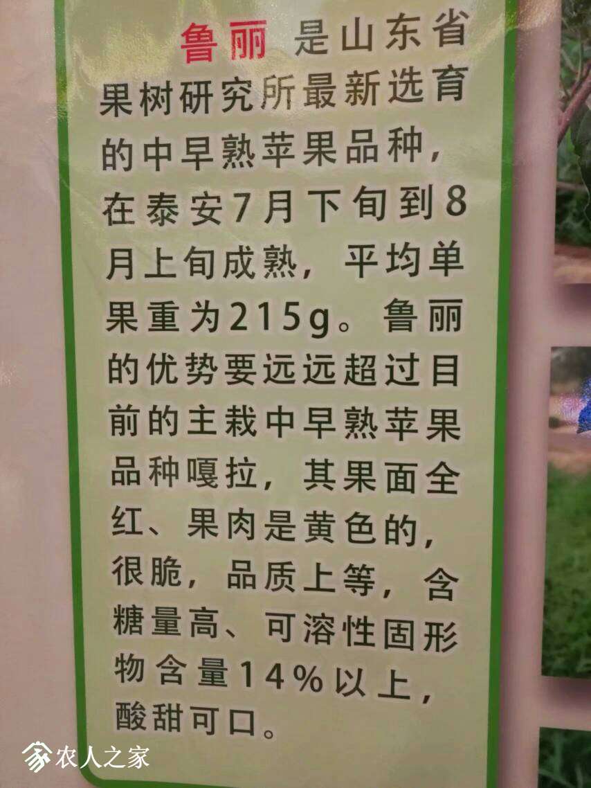 112613wldcttddcu2ldogg.jpeg