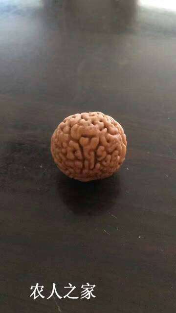 185630o1emferevm7ejjm7.jpg