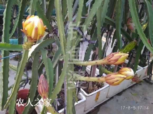 a1502198968516.jpg