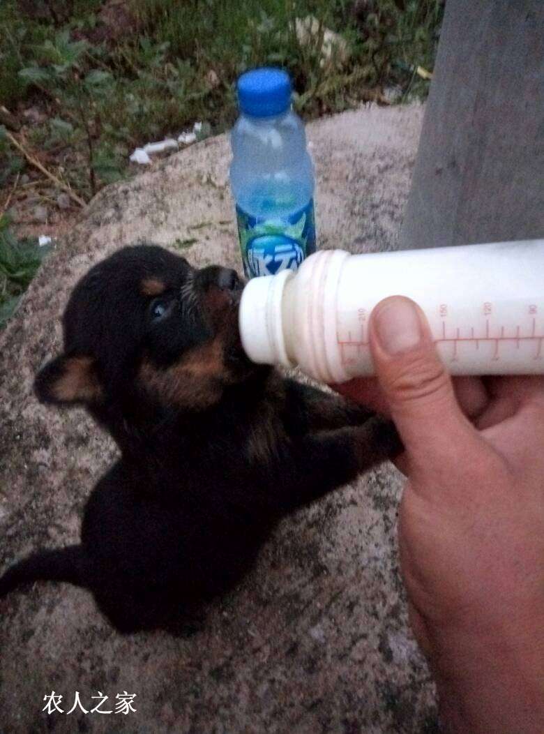 003900mjjjzch1jllmc77l.jpg