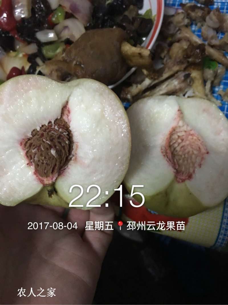 100255xvrtwwy70octa2aq.jpg
