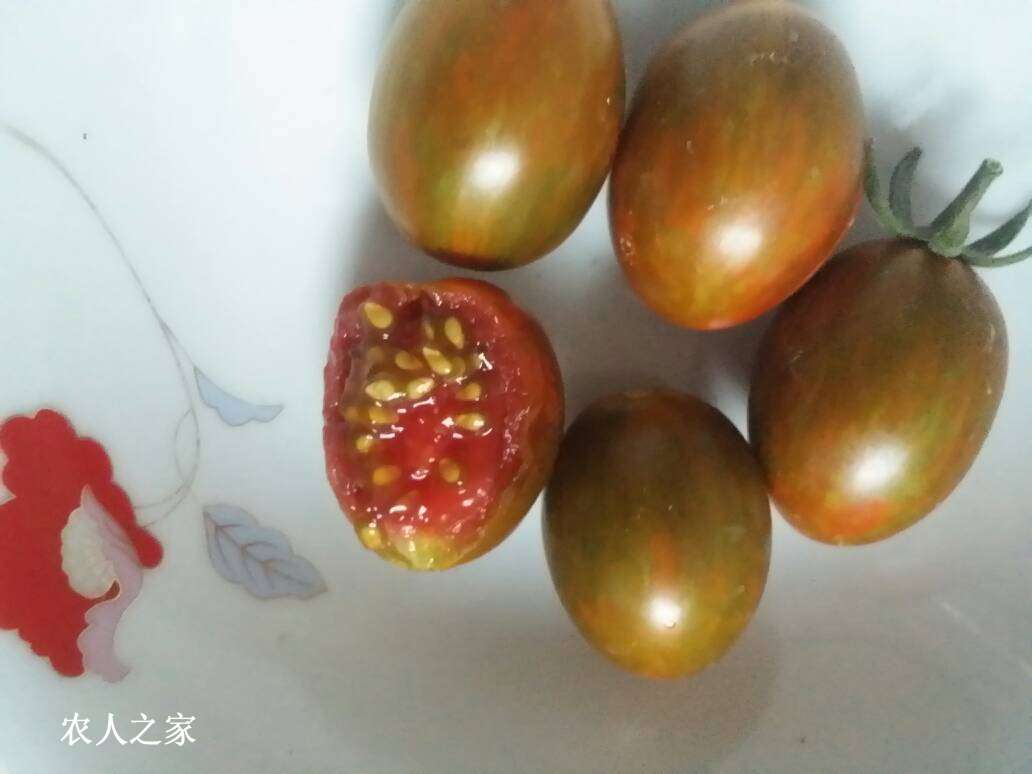 153646aaz1jzfajv6mm6n2.jpg