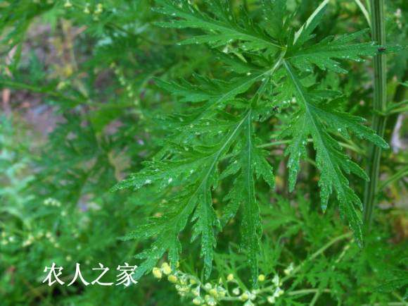 001iVkI3gy6TcPe5HBk8e&amp;690.jpg