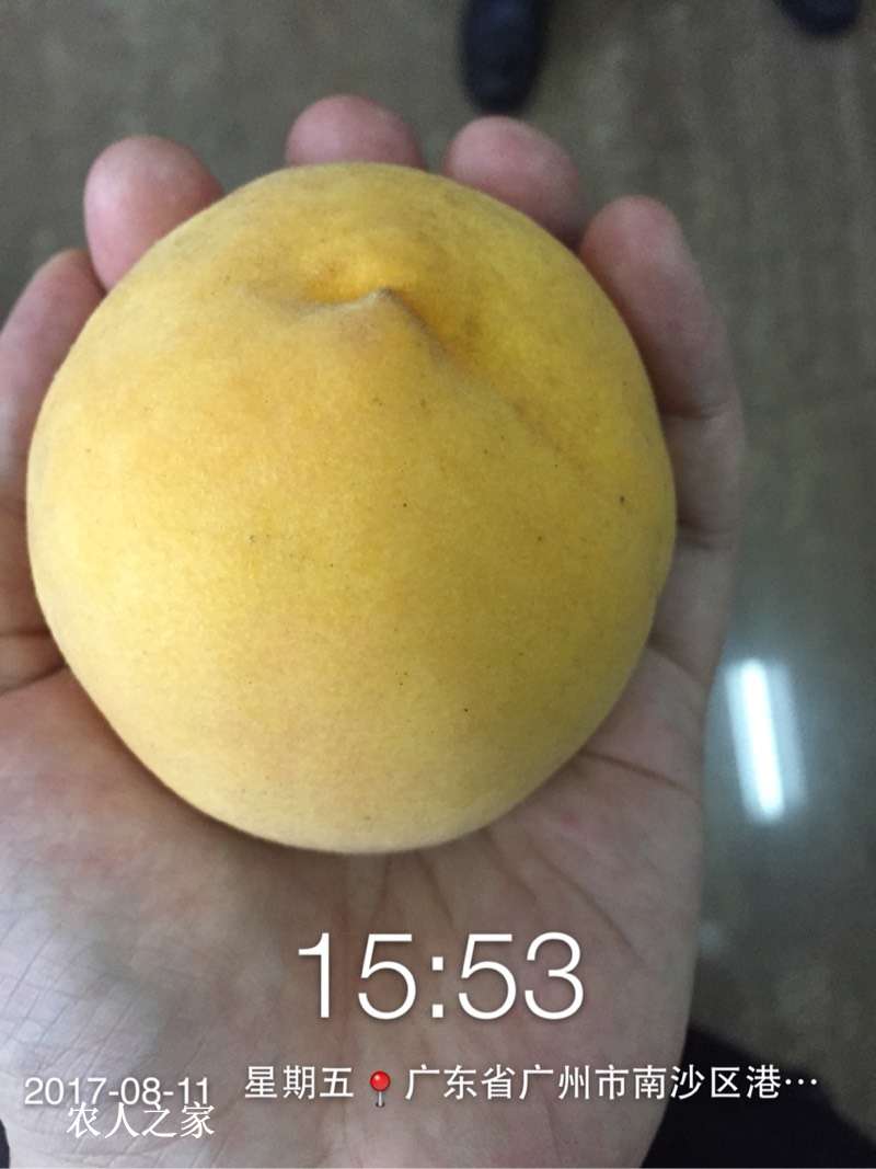 075347gmdu11jxurma11nu.jpg