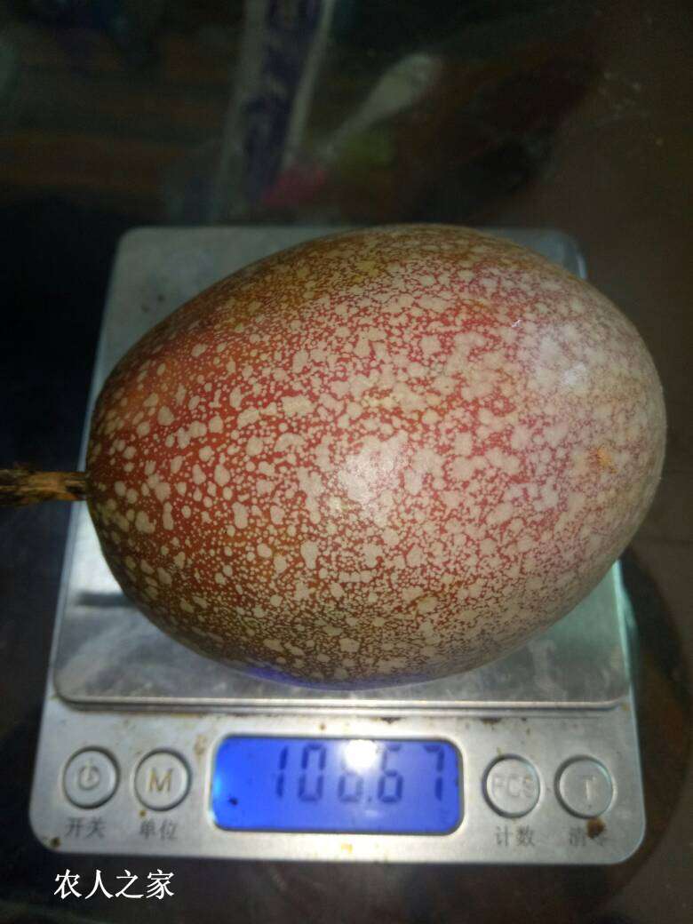 092350cmcrz3hhzgcjmnh5.jpg