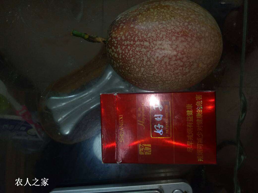 092350ikm0lelmekbseywm.jpg