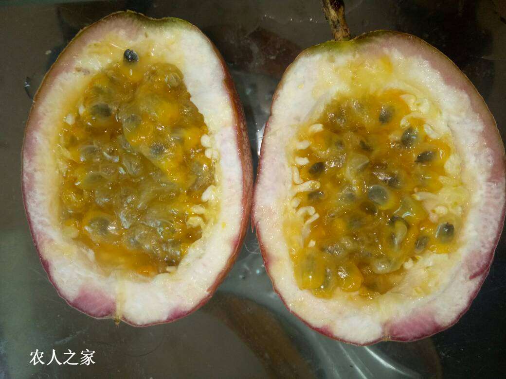 092350pe2r1ugthi6yzret.jpg