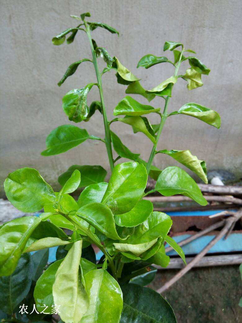 101623ephyit11duta1y41.jpg