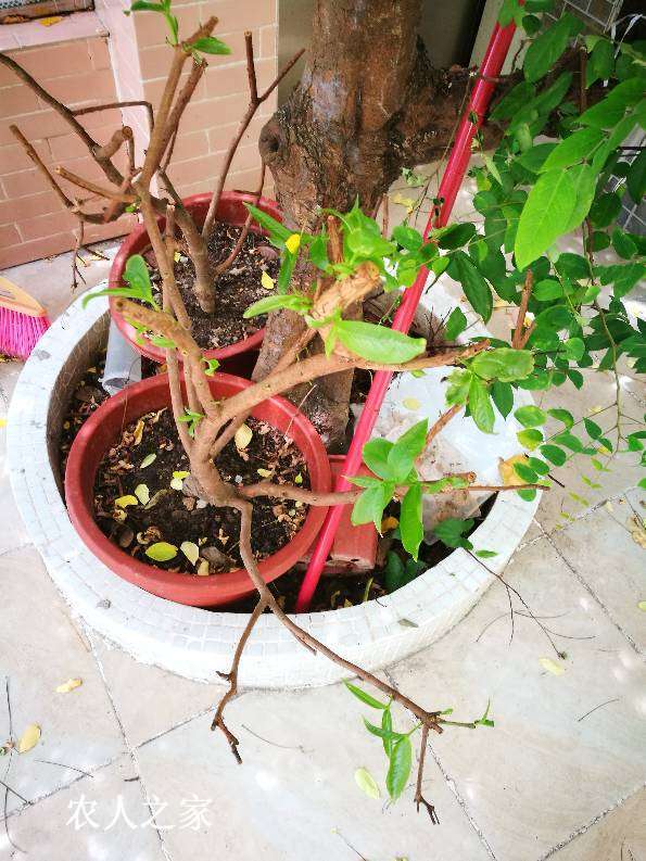115657qloafasjnntltao9.jpg