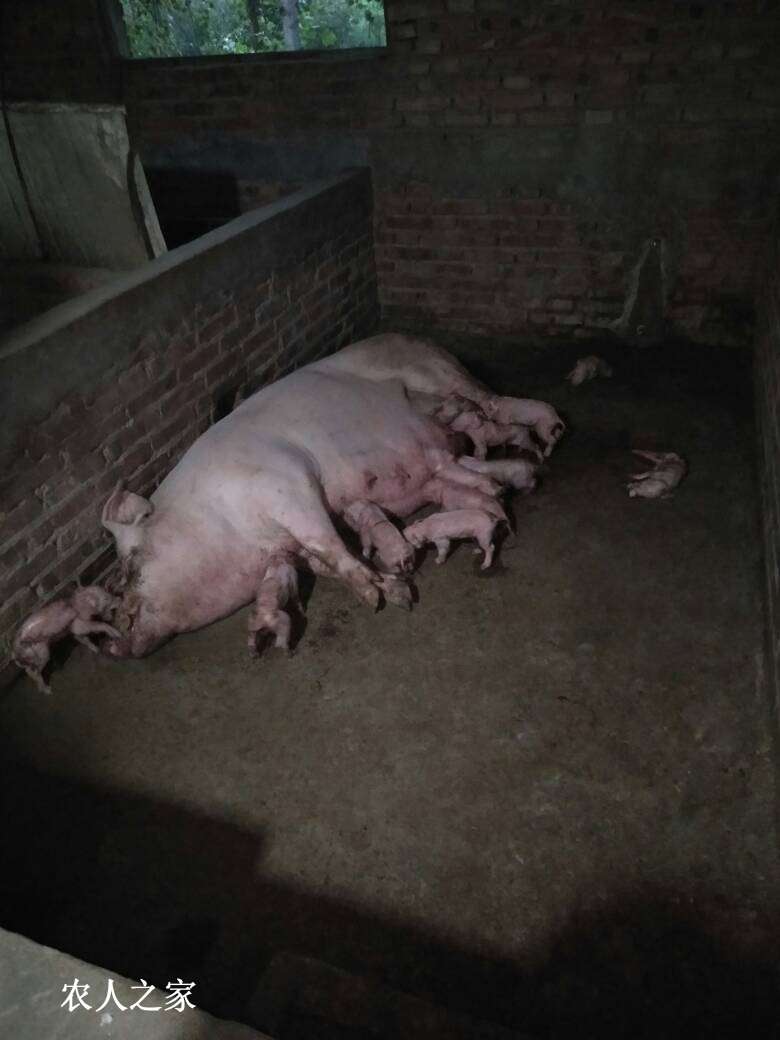 145414w05u54puwut4uuwu.jpg