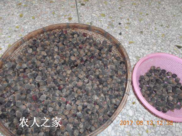 DSCN0770.JPG