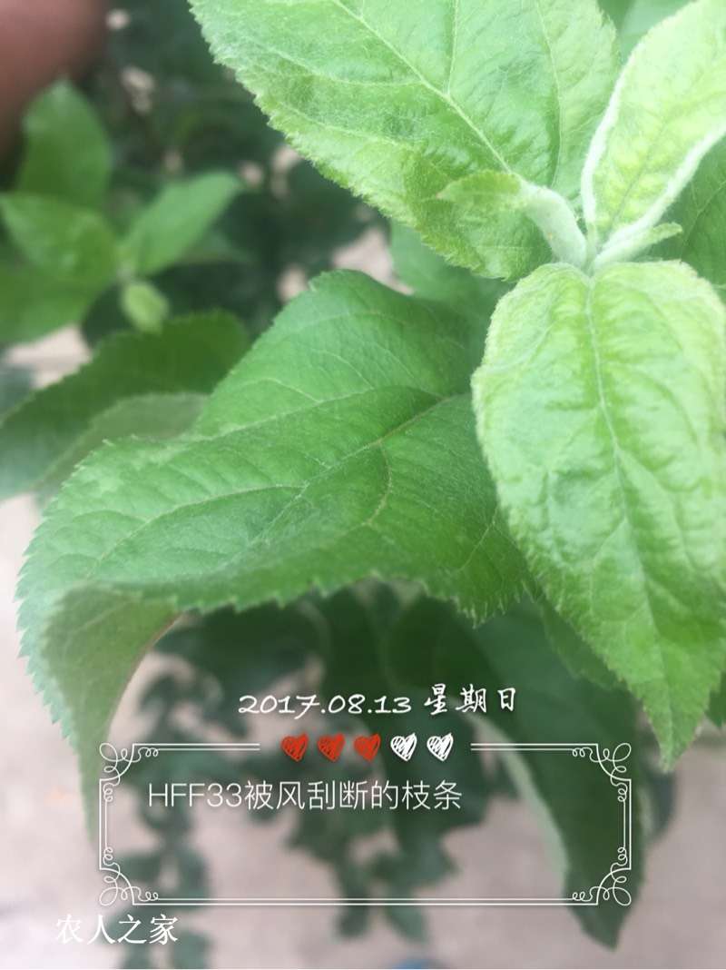 063303zw7vwmkckc2wvppt.jpg
