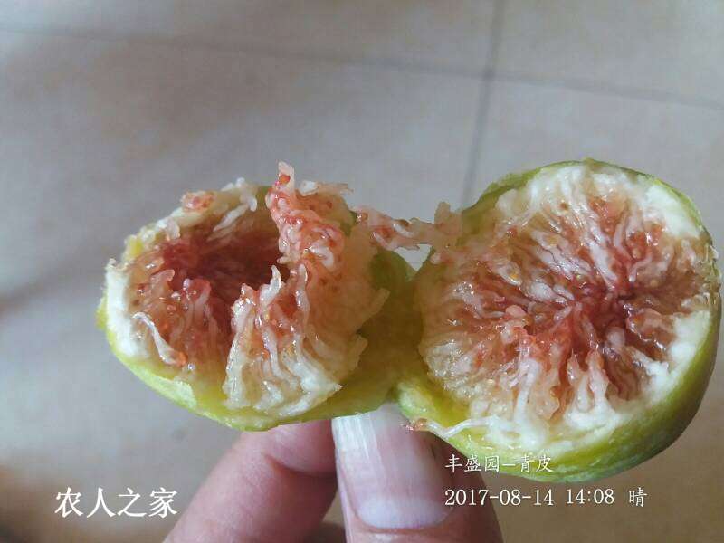 161152ipxb6mmrtrvrvycv.jpg